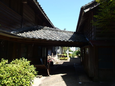 P8234343