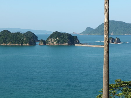 P8234441