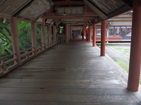 P8264509