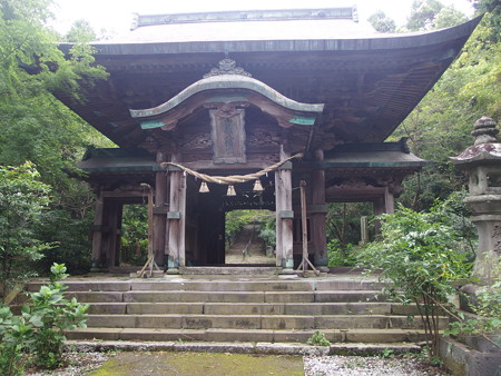 P8264550