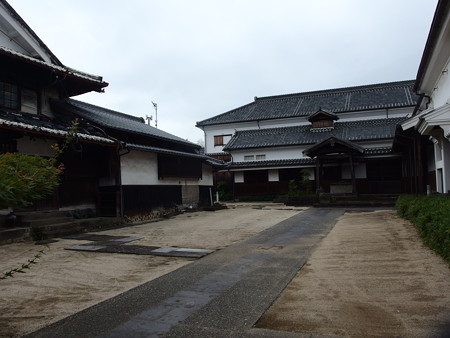 P8264655
