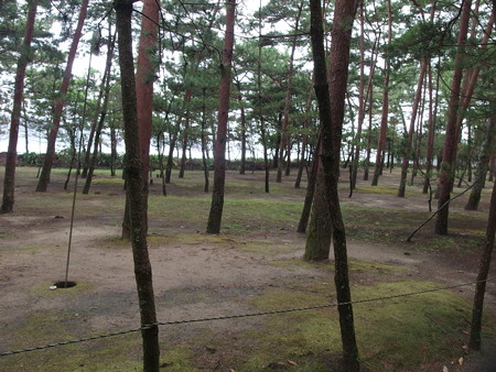 P9064778