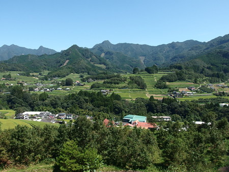 P9124832