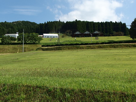 P9124899