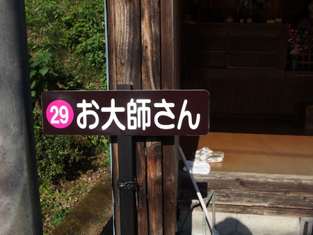 P9124901