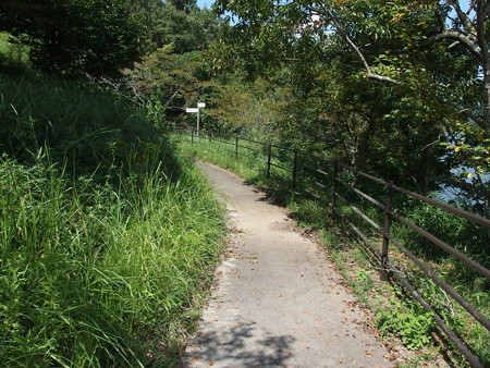 P9134922