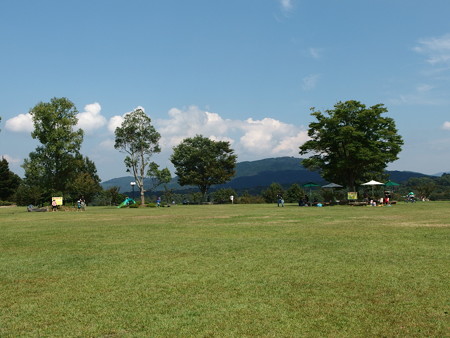 P9134949