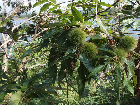 P9134924