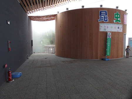 P9134944