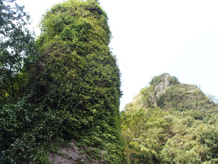 P9134998
