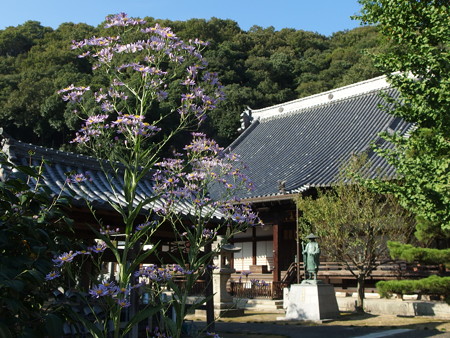 P9215667