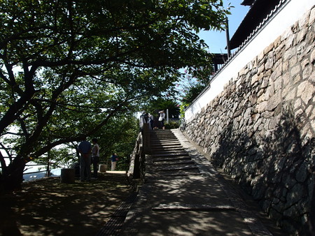 P9225847