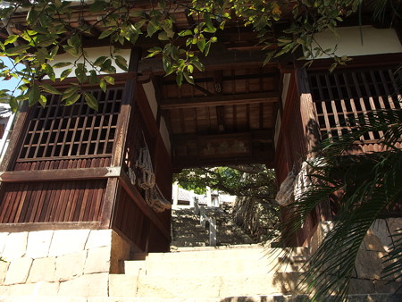 P9225860