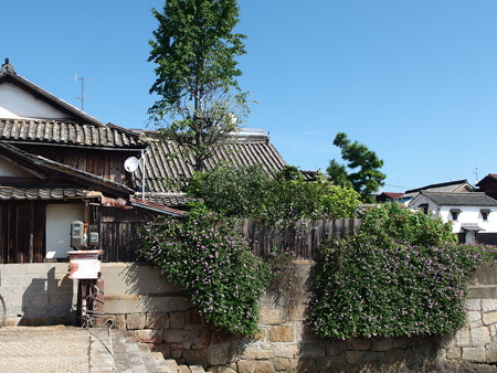 P9225878