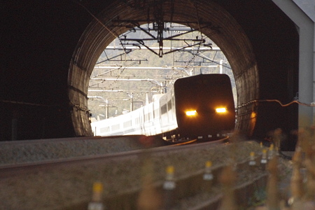 IMGP5621