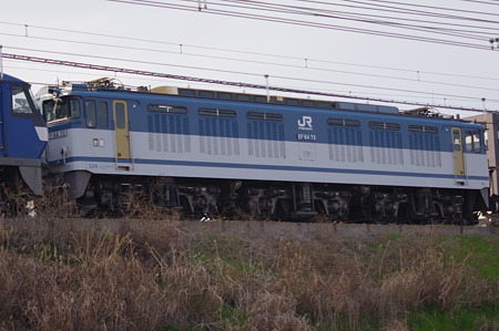 IMGP7422
