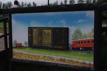 IMGP2447