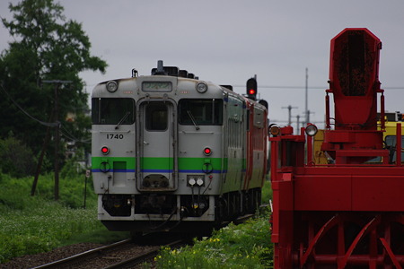 IMGP2587
