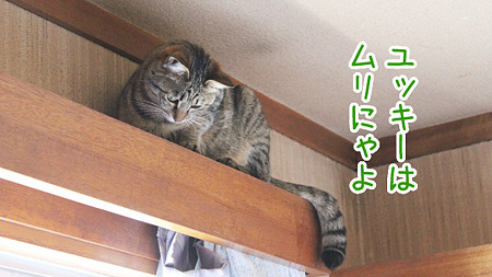 むり