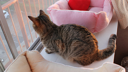 ゆっくり