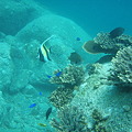 Photos: P8150142
