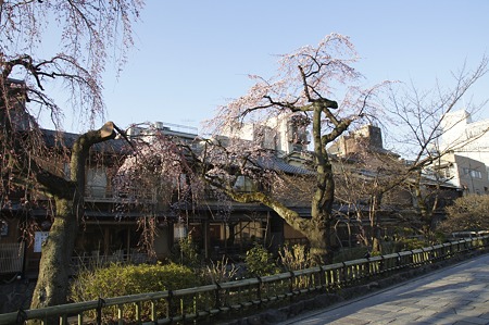 DSC01385