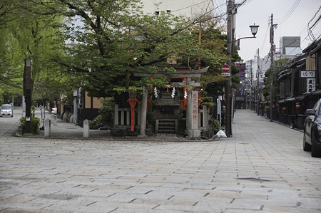 DSC02571
