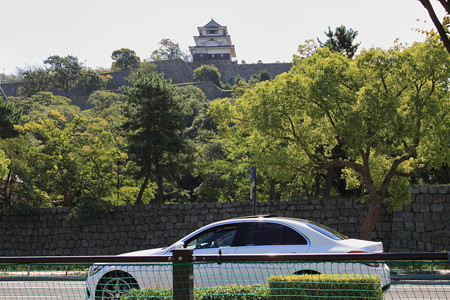 28. 丸亀城