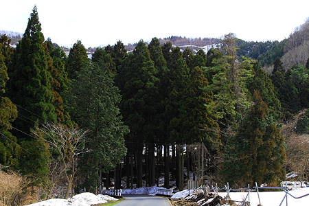 大山20110403-3