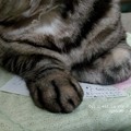 そのメモ今から使うのですが…。