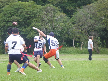 P1070984.JPG