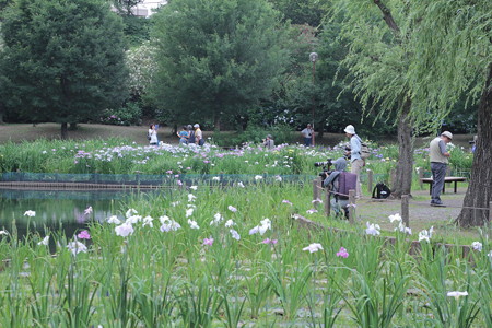 四季の里公園