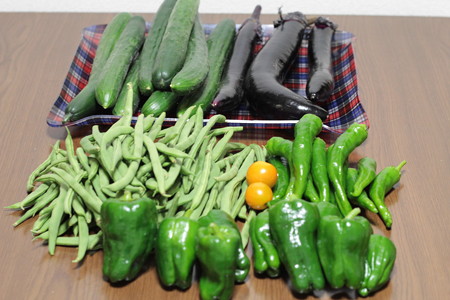 初!夏野菜!