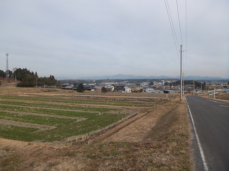 DSCF3877