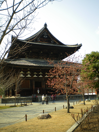 IMGP3928