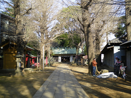 IMGP3970