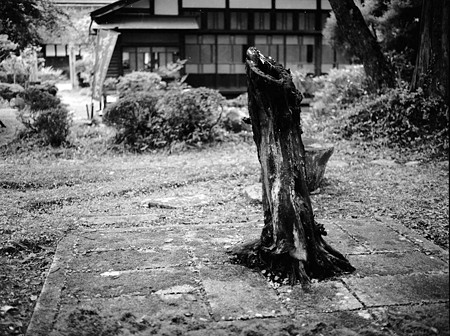 Image0271（MAMIYA M645）