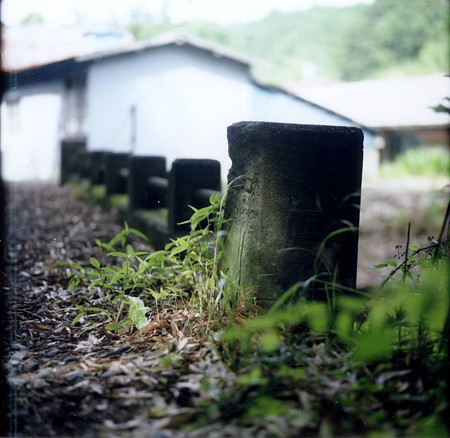 Image0280(MAMIYA RB67)