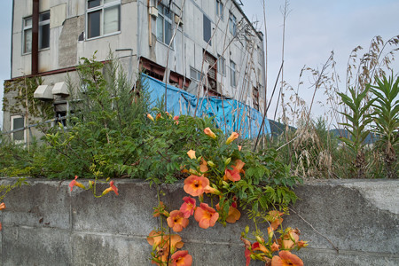 SDIM0031