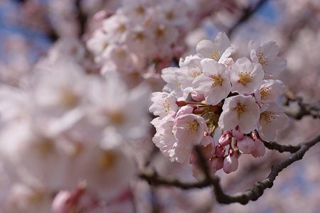CRW_7020