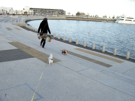 DSCN1578