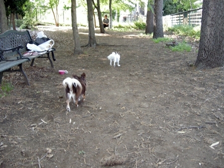 DSCN0520