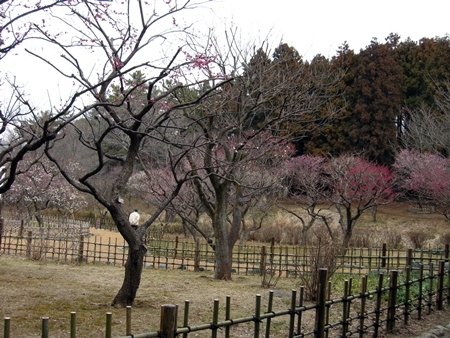 DSCN0199