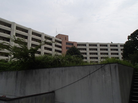 P6165899