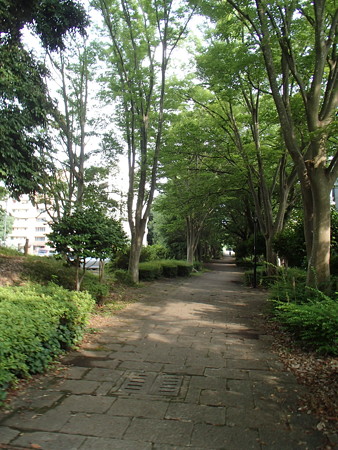 P6225933