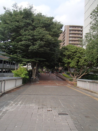 P6225932