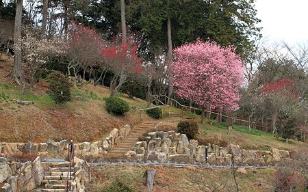 石山寺47