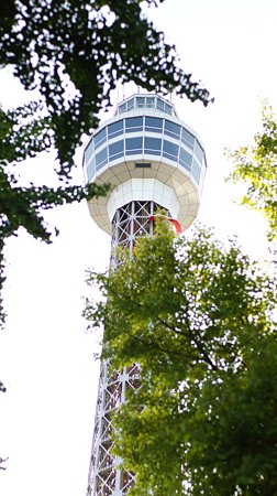 DSC00697