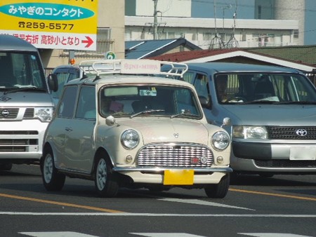 DSCN8738