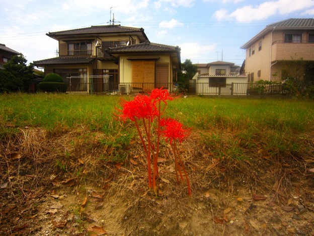 刈谷市